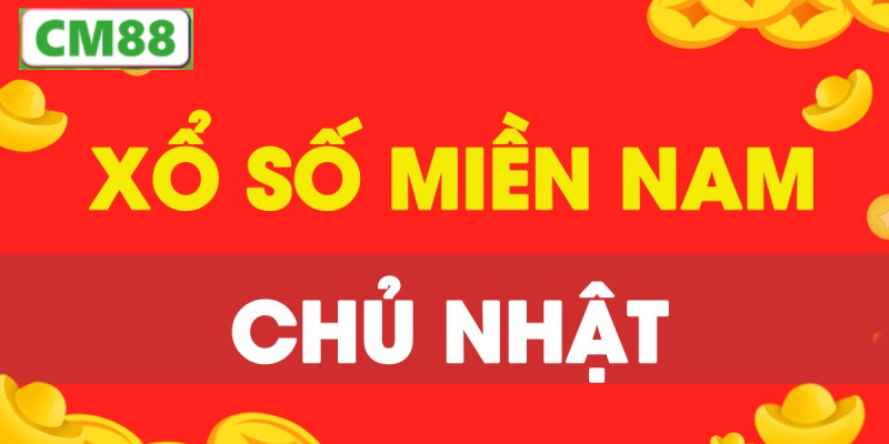 Cách tra cứu kết quả xổ số nhanh nhất